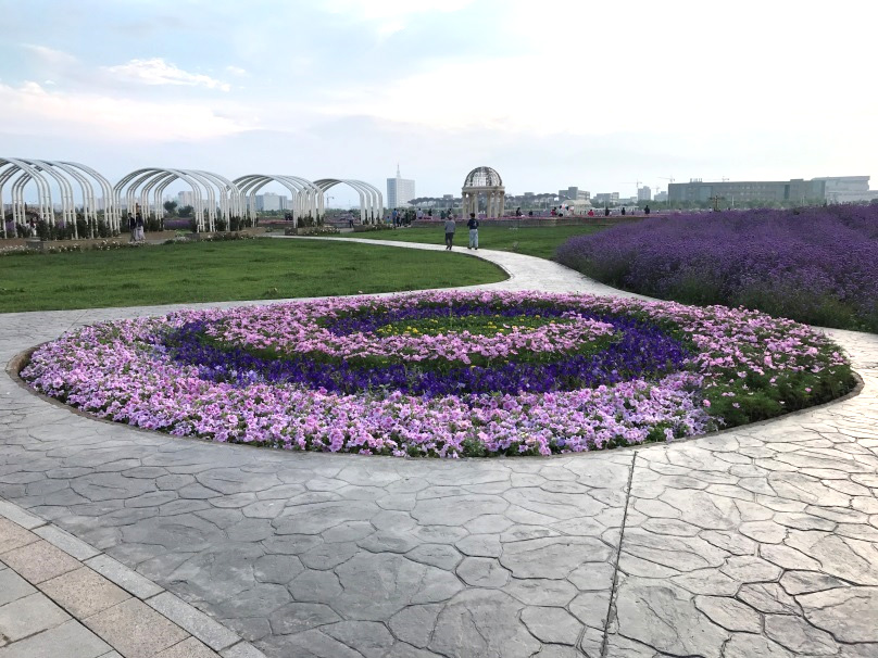 金川區紫金花卉示范種植基地